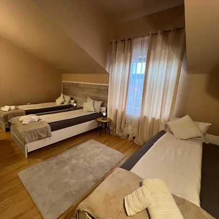 Guest house Pensiunea Uno