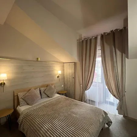 Pensiunea Uno בית הארחה טימישוארה